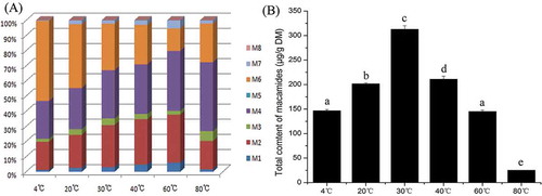 Figure 5. Composition (A) and total content (B) of macamides in maca affected by different drying temperatures. Different letters on the top of each column showed the statistical differences (p < 0.05).
