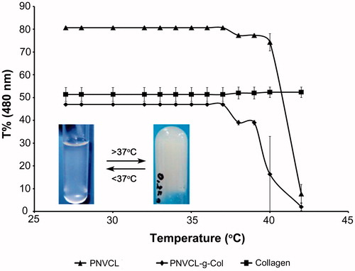 Figure 6. Temperature dependent phase change of PNVCL, collagen, and PNVCL-g-Col. Inset photo showing PNVCL-g-Col hydrogel before (transparent fluid at 4 °C) and after gelation (white opaque gel at 40 °C).