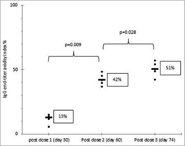 Figure 1. Shown are individual guinea pig IgG end-titer avidity index percentages (etAI%) and the medians of etAI% on post doses 1, 2 and 3. Statistical differences between the groups were determined by a Mann-Whitney U-test; the p-value ≤ 0.05 was considered significant. Rotavirus IgG in 5 guinea pig sera was measured by EIA and antibody titer was defined as the reciprocal of the highest dilution with a net OD value of greater than 0.1.Citation6 Rotavirus IgG avidity assay was performed by modifying the protocol of RV IgG EIA with the denaturant agent diethylamine (DEA). One dilution series started at 1:200 and was washed 6 times with 0.05% Tween 20-PBS, the other dilution series started at 1:20 and was washed 3 times for 5 min with 60 mM DEA in 0.05% Tween 20-PBS (pH 11.0) and 3 times with 0.05% Tween 20-PBS. etAI% were obtained using the formula etAI% = (end-titer DEA curve / end-titer wash buffer curve) X 100.Citation7