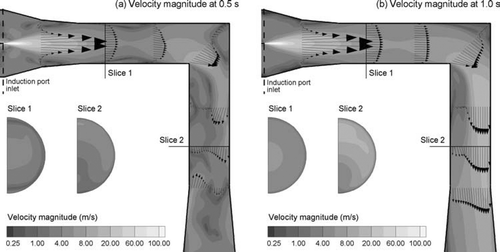 FIG. 6 Contours of velocity magnitude and velocity vectors at the midplane and selected cross-sectional slice locations for (a) 0.5 s and (b) 1.0 s after the capillary was turned on. Highly vortical flow was observed downstream of the capillary tip at 0.5 s due to the sudden increase in momentum associated with start-up. At 1 s, the flow was more evenly distributed. Velocity conditions remain relatively constant after 1 s.