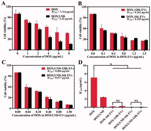 Figure 2. Anticancer efficacy of free DOX and DOX/LND (A), DOX-EVs (B), and DOX/LND-EVs (C). (D) Comparison of IC50 of different groups. Data were analyzed with parametric t-test and presented as mean ± SD, n = 3 (*p < .05, **p < .01, NS: non-significant).