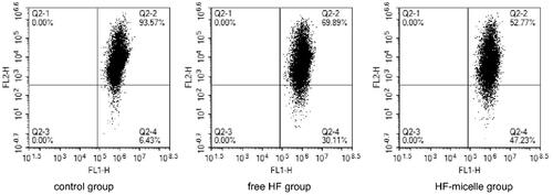 Figure 4. Mitochondrial membrane potential detection of free HF and HF hybrid micelles by flow cytometry.