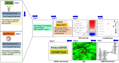 Figure 1. The workflow of this study.