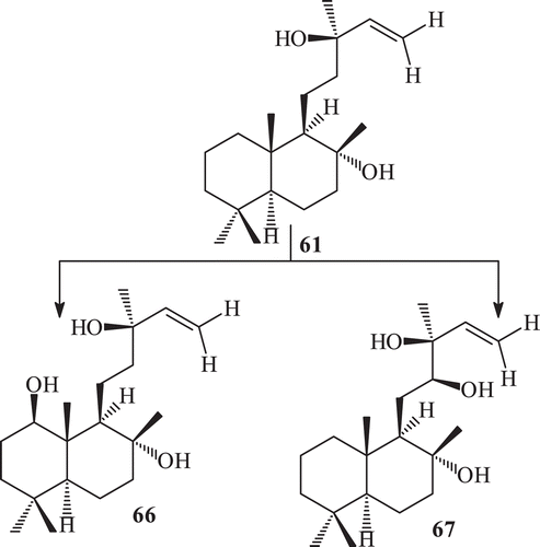 Scheme 22.  Metabolism of 61 by Fusarium lini.
