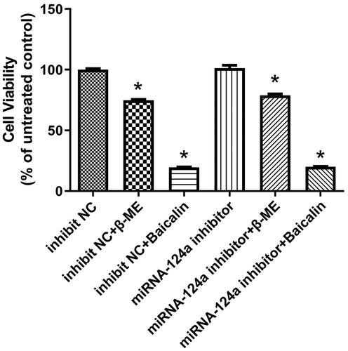 Figure 5. MicroRNA-124a is one target for the effects of β-thiol ethanol or baicalin on cell growth of BMSCs. The MTT results of BMSCs with different treatment. *p < 0.05 compared with inhibit NC.