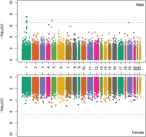Figure 1. Mirror-Manhattan plot for sex-specific epigenome-wide associations of cord blood DNA methylation levels with maternal smoking during pregnancy. The upper panel is the plot in males and the lower panel is the plot in females. The gray line represents the epigenome-wide significance threshold with false discovery rate (FDR) = 5% and the gray dotted line represents the epigenome-wide significance threshold after Bonferroni correction.