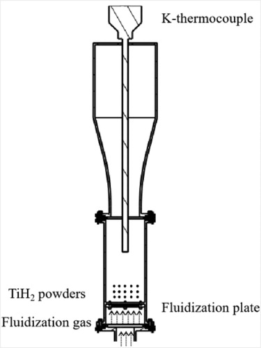 Figure 5. Internal schematic diagram of fluidized bed reactor.