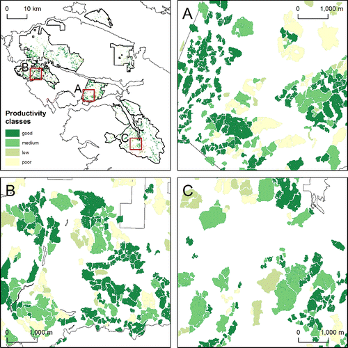 Figure 7 Site productivity map derived with the developed model. Three example areas (A, B, and C) shown in larger scale to demonstrate the spatial variability of the site productivity classes.