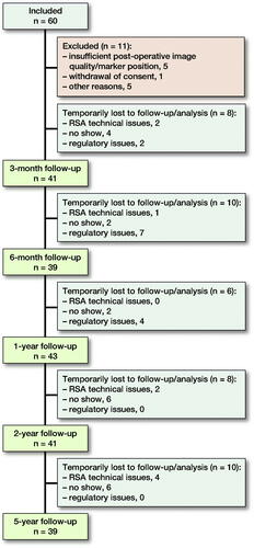Figure 1. Flowchart of the 60 study participants and the number of patients at each follow-up assessment. The technical issues associated with the radiostereometric analysis included marker occlusion, caused by unusual positioning of ovarian/testicular radiation protection, and insufficient image quality.
