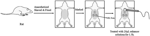 Figure 2. The experiment of TEWL: (1) Control (IPP + IM), (2) 10% (w/w) M-HEP and (3) 10% (w/w) MT.