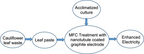 Figure 1. Logical diagram of the research.