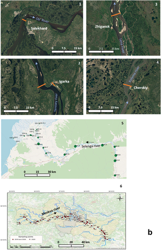 Figure 1. (continued).