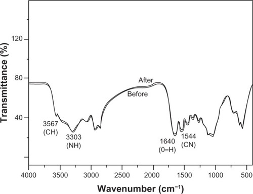 Figure 9 Fourier-transform infrared spectra of membrane tube before and after soaking. The membrane tubes in the phosphate-buffered saline degradation were removed to calculate the weight loss (%) after 1, 2, and 3 months. During the 3-month degradation, the weights of the membrane tubes had decreased, while the two loaded groups decreased significantly more quickly than the nonloaded group (P = 0.02). Compared to the 40 N-loaded group, the 50 N-loaded group of membrane tubes lost much more, but this was not statistically different (P = 0.92). Weight loss after 3 months’ incubation in phosphate-buffered saline is shown in Table 3. All groups showed rapid weight loss in 1 month, and then decreased slowly. The weight loss of the 50 N-loaded group was 3.27%, while the nonloaded group was lowest, with an average of 2.90%. In all observation periods, the weight loss of the 40 N- and 50 N-loaded groups was significantly different from the nonloaded group (P = 0.02).Abbreviations: CN, carbon-nitrogen; NH, nitrogen-hydrogen; CH, carbon hydrogen; O=H, hydroxyl; N, loading force.