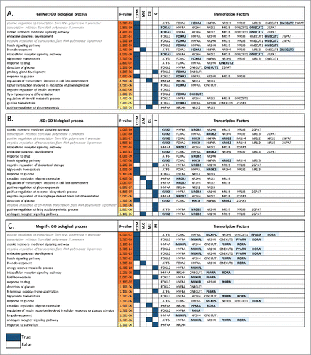 Figure 4. Fibroblast to hepatocyte conversion. Top 20 gene ontology biological processes (BPs) enriched in the predicted TFs network for each method (A) CellNet, (B) JSD and (C) Mogrify are given with the corresponding p-values. The method Mogrify is denoted as M, CellNet is denoted as C, and JSD is denoted as J. The common BP enriched between the methods for example CellNet, JSD and Mogrify is represented as C:J:M; and between Mogrify and CellNet is represented as M:C. The last column provides the TFs that enriches the same BP when individual TF along with the first neighbors in the network were used. The unique TFs predicted by each method are highlighted. BP terms related to regulation of transcription are written in gray and italics.