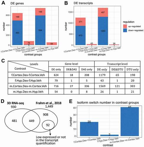 Figure 7. Sex-specific and tissue-specific expression analysis using 3D RNA-seq on the mouse data. Contrast groups were designed to investigate Dex-induced expression and alternative splicing changes between male and female and cortex and hypothalamus brain regions. Significant DE gene/transcript lists were generated by BH adjusted p-value < 0.05, L2FC≥1 and ΔPS≥ 0.1. A) Up- and down-regulated DE genes and B) DE transcripts. C) Summary of statistical analysis results from 3D RNA-seq in each contrast group. D) Venn diagram comparing the DE genes in the 3D RNA-seq analysis to the results in Frahm et al. [Citation9], in which the significant DE genes were determined by p-value < 0.05 (multiple testing adjustment and L2FC cut-off were not applied). 92 genes had low expression and were not included in the transcriptome quantification in 3D RNA-seq analysis. E) the number of Isoform switches in different contrast groups with the following cut-offs: probability of switch ≥ 0.5, difference of average TPMs at different conditions ≥ 1 TPM and adjusted p-value of the TPM difference < 0.05