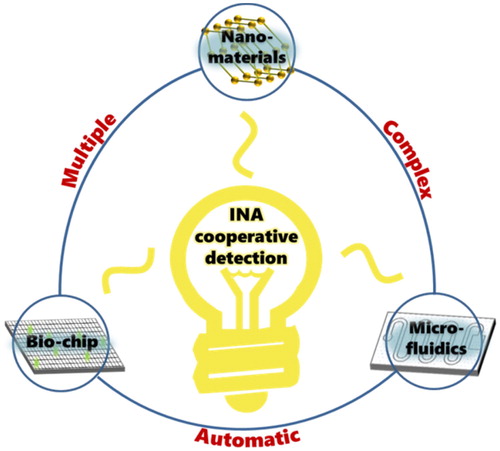 Figure 4. Prospects of future INA cooperative detection.