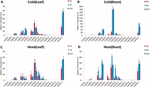 Figure 6. Expression profiles of CaSTP genes under cold and high temperature stress. (A and C) Expression level of CaSTP genes in leaves after 0 h, 6 h and 12 h at low temperature and high temperature treatment, respectively.(B and D)the expression level of CaSTP genes in roots after 0 h, 6 h and 12 h at low temperature and high temperature treatment, respectively.