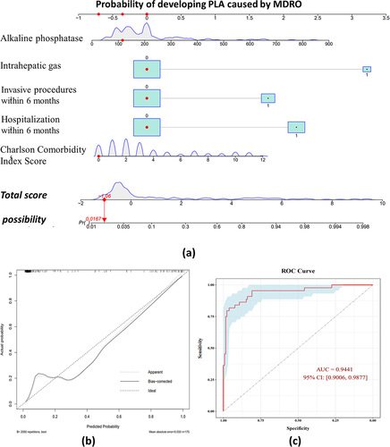 Figure 2. Individualized predictive nomogram model for predicting the risk of pyogenic liver abscess caused by multidrug-resistant organisms (a). Calibration plot (b) and receiver operating characteristic (ROC) curve (c) of the nomogram model for predicting the risk of multidrug-resistant organisms in patients with pyogenic liver abscess. The figure was created using R software version 4.1.2 (R Foundation for Statistical Computing, Vienna, Austria).