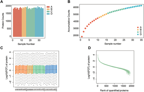 Figure 2 Quality control of mass spectrometry analysis. (A) The average protein counts of each case were approximately 1700. (B) The cumulative counts of the types of protein reached more than 6000. (C) The logarithm of FOT showed that most of the expressed proteins were evenly distributed in each case. (D) Ranking of identified proteins revealed that most (approximately 1700) protein types were steadily expressed in each case, while a small number of diverging proteins.