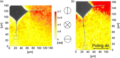 5 Domain maps by polarised Raman spectroscopy in both a unpoled and b poled PZT polycrystals in the neighbourhood of Vickers indentations showing the domain orientation relative to poling direction and polarisation direction of the laser (collinear with poling direction). In the poled material, domain switching was detected only in proximity of the crack parallel to poling. In the non-poled sample approximately the same amount of domain switching was obtained on both cracks. Reprinted from Ref.47 with permission from Elsevier