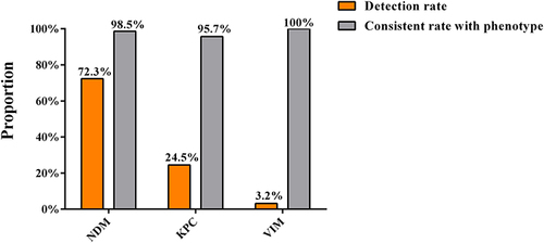 Figure 2 Prevalence of carbapenemase genes in CRKP isolates and the consistency between genotypes and phenotypes of the isolates.