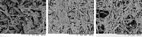Figure 1. Scanning electron microscopy (SEM) micrographs of Agaricus bisporus treated by OD and UOD processes.Figura 1. Micrográficos de Agaricus bisporus tratado mediante procesos OD y UOD obtenidos con microscopio electrónico de barrido (MEB).(a) Fresh button mushrooms, (b) UOD (45 min): UOD button mushrooms for 45 min, (c) OD (120 min): OD button mushrooms for 120 min. All micrographs were taken on the surface of the samples.(a) Champiñones comunes frescos, (b) UOD-45 min: champiñones comunes tratados mediante UOD durante 45 min, (c) OD-120 min: champiñones comunes tratados mediante OD durante 120 min. Todas las micrografías fueron tomadas de la superficie de las muestras.