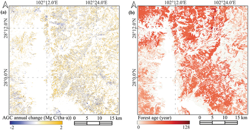 Figure 11. (a) Estimation of forest AGC annual average changes in 2016—2021 and (b) forest stand age from the Forest Resource Inventory.