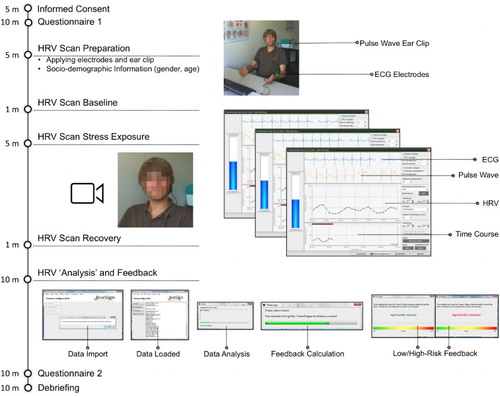 Figure 1. Study flow. Participants filled in Questionnaire 1, which assessed pre-feedback expectancies. To realise an experiential-enriched risk factor test, participants’ electrocardiogram (ECG) and pulse wave, comprising participants’ HRV, were measured in three phases (baseline, stress exposure, and recovery). Participants could track their physiological signals in real time on the computer screen (ECG, pulse wave, HRV, and time course of the measure). Following the HRV measure, participants received computerised, randomly assigned feedback about their ‘personal risk’ of developing TFS within the next 5 years. Reactions towards the risk feedback were indicated in Questionnaire 2. Afterwards, participants were debriefed and thanked.