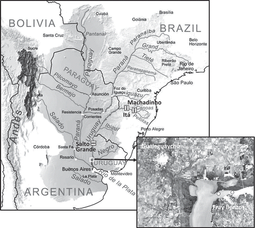 Fig. 1 Río de la Plata Basin indicated by the shaded area covering Argentina, Uruguay, Brazil, Paraguay and Bolivia with major rivers, cities and hydroelectric dams along the upper and lower Uruguay River. The insert shows the study area with sampling stations in the Gualeguaychú-Fray Bentos region of the Uruguay River.