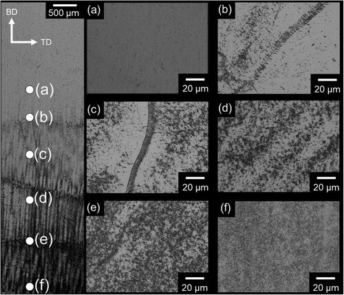 Figure 6. Higher magnification optical images showing the evolution of the microstructure across the transition zone between the top metastable-β region and dark etched bottom section with α precipitation seen in Fig. 5. The left micrograph indicates the image locations (area indicated in Fig. 5) shown in (a) – (f).