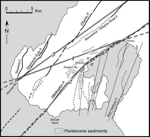 Figure 14  Map showing the distribution of faults (thick solid grey lines labeled 2, 3 and 4) in the Wellington Peninsula according to McKay (1892) and Bell (Citation1910) (solid thin black lines). Other named and unnamed faults shown are from Begg and Johnston (Citation2000).