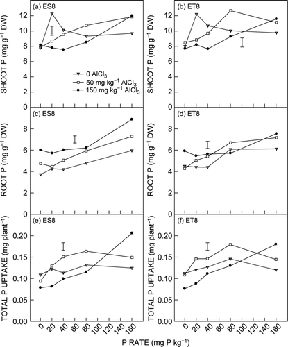 Figure 3.  Effect of Al and P addition on concentration of P in the shoot of (a) ES8 and (b) ET8, in the roots of (c) ES8 and (d) ET8, and total P uptake in (e) ES8 and (f) ET8. The vertical bar represents the LSD (P = 0.05) for the Al × P × G interaction