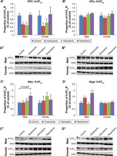 Figure 4 Effects of three APDs on 5-HT2C expression levels in the PFC (A′, A″), CPu (B′, B″), NAc (C′, C″), and Hipp (D′, D″) of female and male rats.