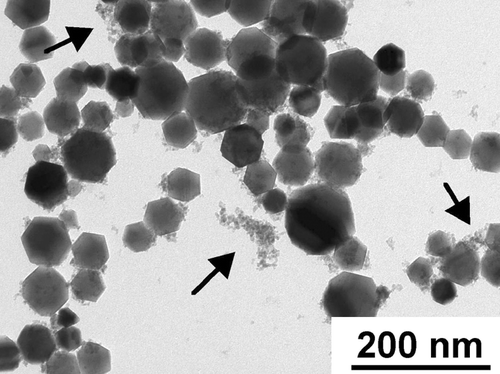 FIG. 2 TEM image of flame-synthesized iron oxide nanoparticles. Two distinct size modes are present. The large size mode is composed of crystalline particles with a median diameter of approximately 45 nm. The small size mode contained very small particles (3–8 nm) that were mostly amorphous. Arrows point to particles in the small size mode. 88 × 66 mm (400 × 400 DPI).