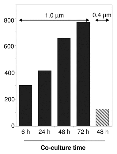 Figure 1 Exosome-mediated small RNA transfer in a co-culture system. A co-culture transwell device with 5,00,000 EBV positive exosome producer cells (LCL) and 1,00,000 dendritic cells (immature monocyte-derived dendritic cells) as recipients, were co-cultured for the indicated times and separated by a semi-permeable membrane with either a 1.0 µm (black bars) or 0.4 µm pore-size (grey bar). The bars represent the relative amount of EBV-encoded small RNA (EBERs), detected by semi-quantitative RT-PCR in the recipient cells as an indication for small RNA transfer.