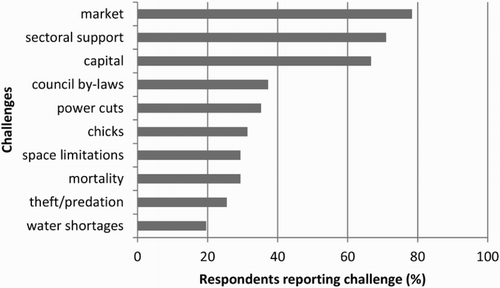 Figure 3. Major challenges faced by urban and peri-urban broiler producers in Marondera, Zimbabwe.