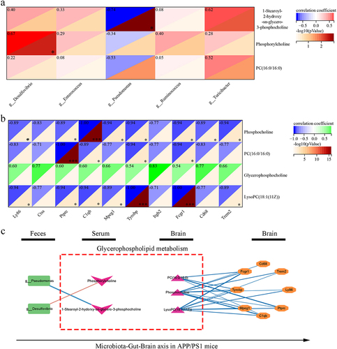 Figure 6. Correlation analysis of different gut microbiota, metabolites and hub differently expressed genes.