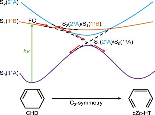 Figure 1. Schematic representation of the CHD to cZc-HT photochemical interconversion. The dashed lines represent the crossing between excited states S2(21A) and S1(11B), and S1(21A) and the ground state S0(11A). FC refers to the Franck-Condon region.