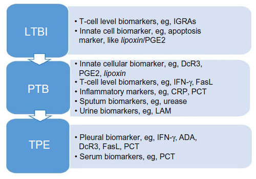 Figure 2 Biomarkers in different specimens for different kinds of Mycobacterium tuberculosis infection.