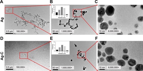 Figure 1 TEM images of normal Ag (A–C) and Ag-C (D–F). The insert is the average size of nano-silver.Abbreviations: TEM, transmission electron microscopy; Ag-C, carbon membrane packaged Ag nanoparticles.
