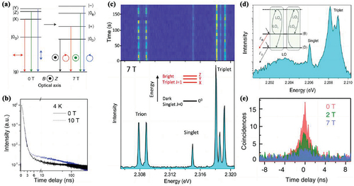 Figure 3. (a) Scheme of fine structure splitting of the band-edge excitons in the Faraday configuration for a nanocrystal with an orthorhombic crystal structure. Reproduced with permission from ref [Citation63]. Copyright 2019, Springer Nature Limited. (b) Time-resolved PL curves recorded from CsPbBr3 nanocrystals at 4 K with and without an applied external magnetic field of 10 T. Reprinted with permission from ref [Citation83]. Copyright 2018, American Chemical Society. (c) Spectral trail of a single CsPbBr3 nanocrystal at 7 T (upper panel) and the spectrum integrated over the spectral trail showing a bright triplet, dark singlet and trion Zeeman doublet states at 7 T (lower panel). Reproduced with permission from ref [Citation65]. Copyright 2023, Nature Publishing Group. (d) PL spectrum of a single FAPbBr3 nanocrystal at 7 T displayed with a logarithmic scale in intensity to show the position of the weak optical phonon sideband with respect to the triplet and singlet sublevels. Inset: scheme of the two-phonon thermal mixing model between the dark state and one bright state. Reproduced with permission from ref [Citation63]. Copyright 2019, Springer Nature Limited. (e) Photon coincidence histograms of a single CsPbI3 nanocrystal at various magnetic fields at 4 K, showing the weakening of the bunching effect with increasing magnetic fields. Reproduced with permission from ref [Citation64]. Copyright 2020, Nature Publishing Group.