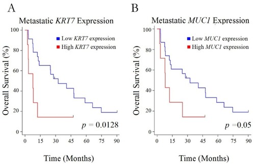 Figure 2 Overall survival and expression level. Kaplan–Meier curves for overall survival in patients with high versus low levels of expression of KRT7 (A) or MUC1 (B) in their metastatic lesions.
