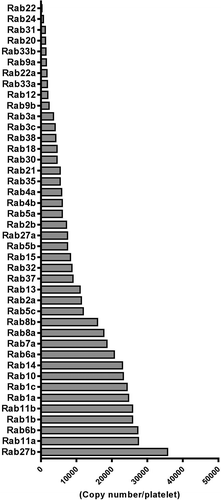 Figure 2. Ranked protein expression of 42 Rab GTPases in human platelets as detected in the Burkhart platelet proteome screen [Citation28].