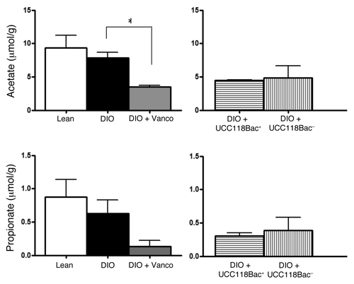 Figure 2. Acetate and propionate production (µmol/g) over the 8 week intervention period in (1) lean, DIO and vancomycin-treated DIO mice and (2) DIO mice treated with the bacteriocin-producing probiotic strain L. salivarius UCC118 Bac+ (1 × 109 cfu/day) compared with DIO mice treated with a non-bacteriocin-producing derivative L. salivarius UCC118Bac- (1 × 109 cfu/day). Data represented as mean ± SEM, n = 9–10. *p < 0.05