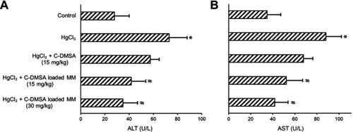 Figure 7 ALT (A) and AST (B) in blood samples from rats with different treatments.Notes: *p<0.05, compared to control group; #p<0.05, compared to HgCl2 group. Data were presented as mean±SD (n=6).Abbreviations: ALT, alanine transaminase; AST, aspartate transaminase; C-DMSA; 3-formyl-7-diethylamino coumarin masked meso-dimercaptosuccinic acid; C-DMSA loaded MM, C-DMSA loaded vitamin E succinate-grafted-chitosan oligosaccharide/vitamin E succinate-grafted-chitosan mixed micelles.