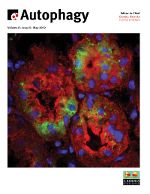 Cover image for Autophagy, Volume 8, Issue 5, 2012