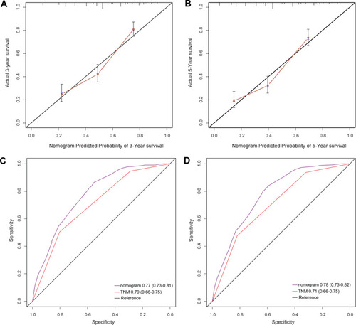 Figure 4 (A) The 3-year survival rate of ESCC patients predicted by the nomogram was highly consistent with the real-world, observed values in the original cohort. (B) The 5-year survival rate of ESCC patients predicted by the nomogram was highly consistent with the real-world, observed values in original cohort. (C) The ability of the nomogram to predict the 3-year survival rate of ESCC patients by ROC analysis, showing that the nomogram has a larger AUC than the TNM staging in original cohort. (D) The ability of the nomogram to predict the 5-year survival rate of ESCC patients by ROC analysis, showing that the nomogram has a larger AUC than TNM staging in original cohort.