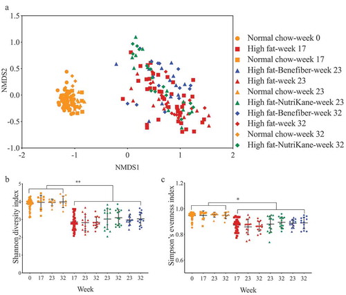 Figure 1. Ordination and alpha diversity of the gut microbiota. Data shown for mice fed each of the four diets at weeks 0, 17, 23 and 32. (a) Ordination of the gut microbiota shown as a Bray-Curtis similarity-based nMDS plot. Gut microbial diversity and evenness shown as (b) Shannon diversity and (c) Simpson’s evenness indices, respectively. Mean values with ± SD are shown (** P < .01, * P < .05).