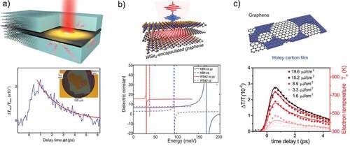 Figure 6. (a) hBN encapsulated graphene showing near-field energy transfer from hot electrons to the encapsulant explaining the observed picosecond OPTP dynamics, from Ref. [Citation129].(b) Calculated dielectric constants of hBN (blue lines) and WSe2 (red lines) along the in-plane directions (xx and yy, solid lines) and along the c-axis (zz, dashed lines) showing reduced hyperbolicity, from Ref. [Citation112]. (c) OPTP dynamics of suspended graphene from Ref. [Citation112]. Further permission related to the material excerpted to produce panels b-c, should be directed to the ACS.