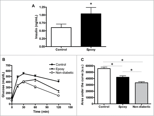 Figure 4. Effect of epoxypukalide treatment on glucose metabolism. (A) Non-fasting plasma insulin was measured in Control and Epoxy treated STZ-diabetic mice. N = 8-10 mice per group. (B) Glucose tolerance test was measured in Control and Epoxy treated STZ-diabetic mice, non-diabetic mice were used to establish the levels of “normal glucose tolerance.” N = 6-7 mice per group. (C) Area under the curve. *P < 0.05 measured by ANOVA.